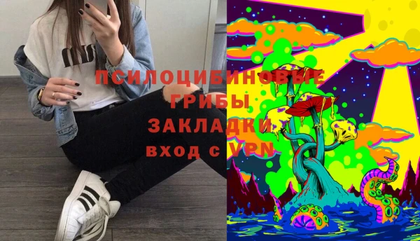 соль ск Осташков