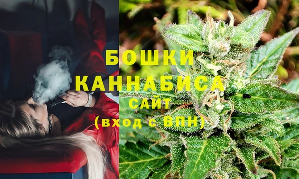 соль ск Осташков
