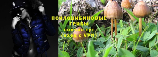 ГАЛЛЮЦИНОГЕННЫЕ ГРИБЫ Остров